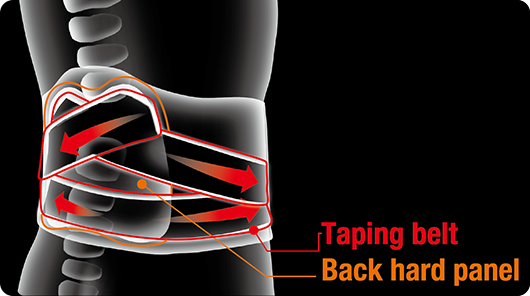 Strong and secure support from lumbar spine to pelvis