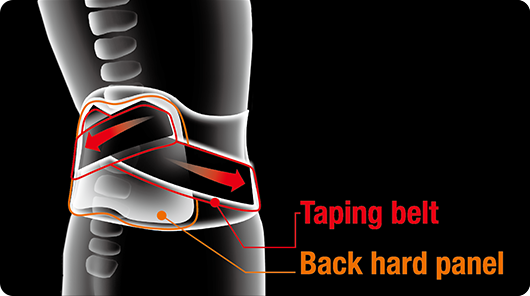 Strong and secure support from lumbar spine to pelvis